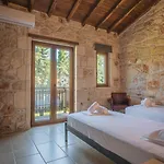 Stone Made Private Pool 4 * Kriopigi