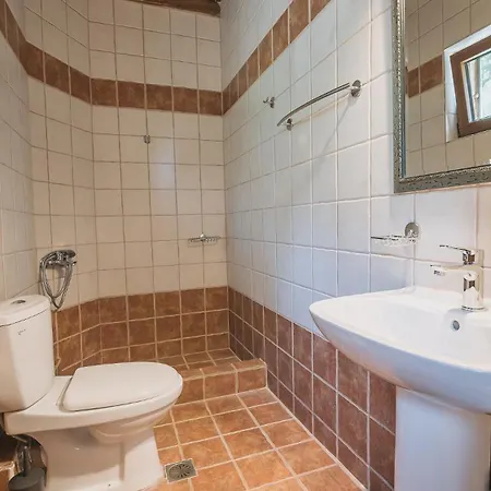 Stone Made Private Pool 4 * Kriopigi